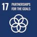 UNSG 17 partnership for the goals